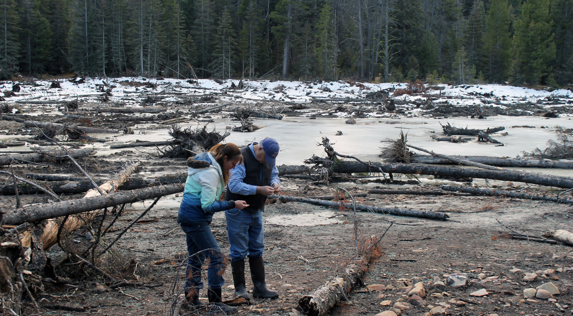 Black Pine Mine site